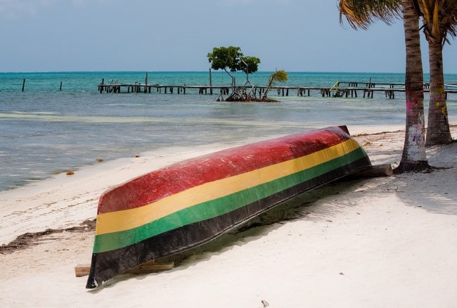Nit_Jamaicana